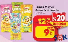 TAMEK MEYVE AROMALI LİMONATA 200 ML fiyat ve kampanya bilgisi